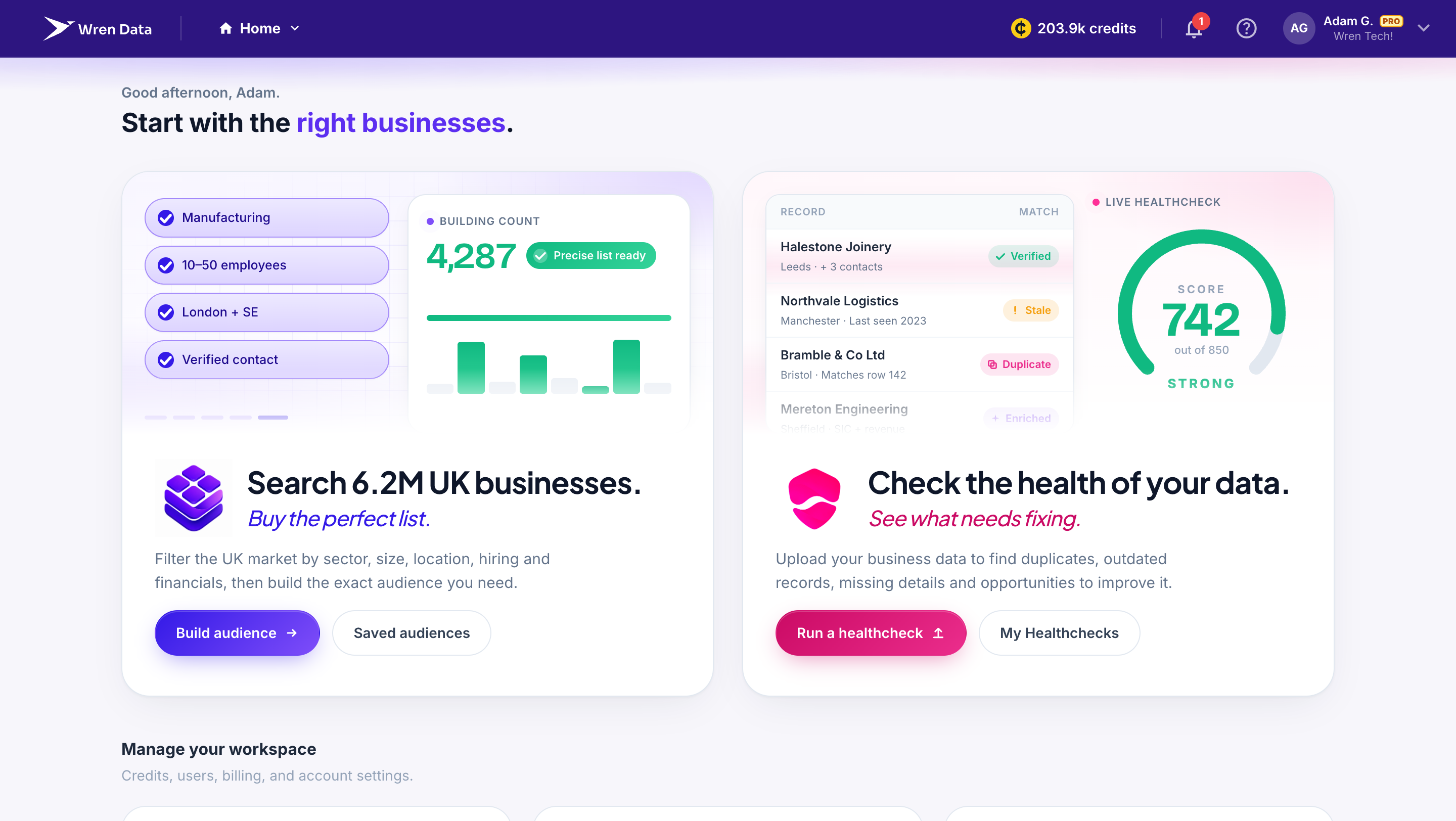 Wren Data dashboard showing credit balance and recent audiences